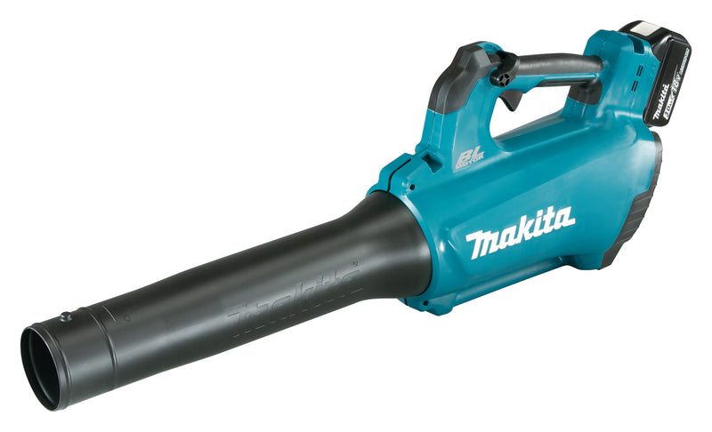 Akku-Blasgerät LXT®