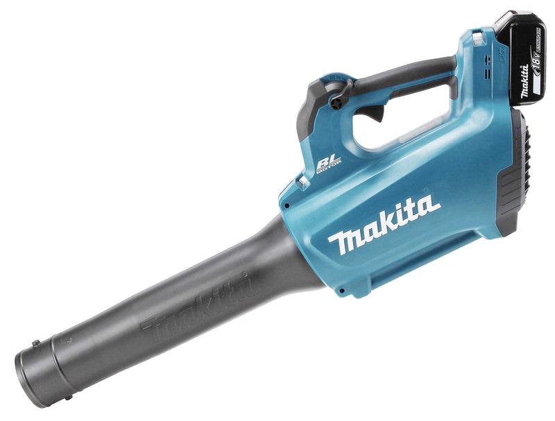 Akku-Blasgerät LXT®