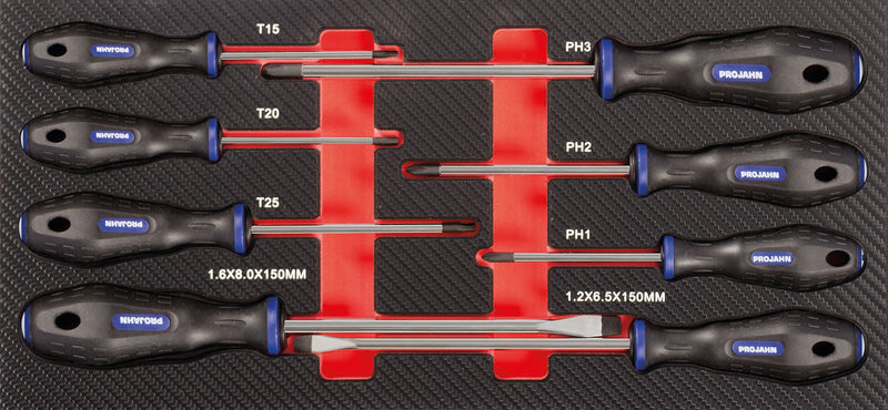 Schraubendreher Einlage
