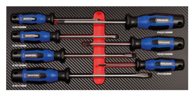 Schraubendreher Einlage