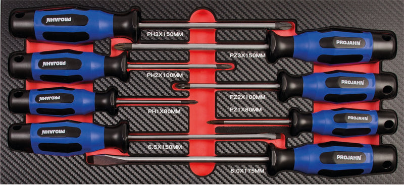 Schraubendreher Einlage