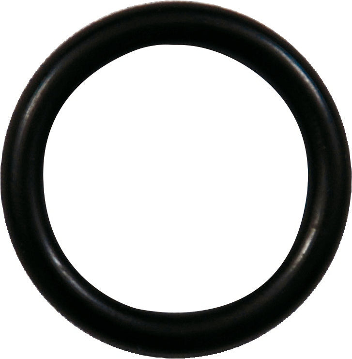 Sicherungs-O-Ring