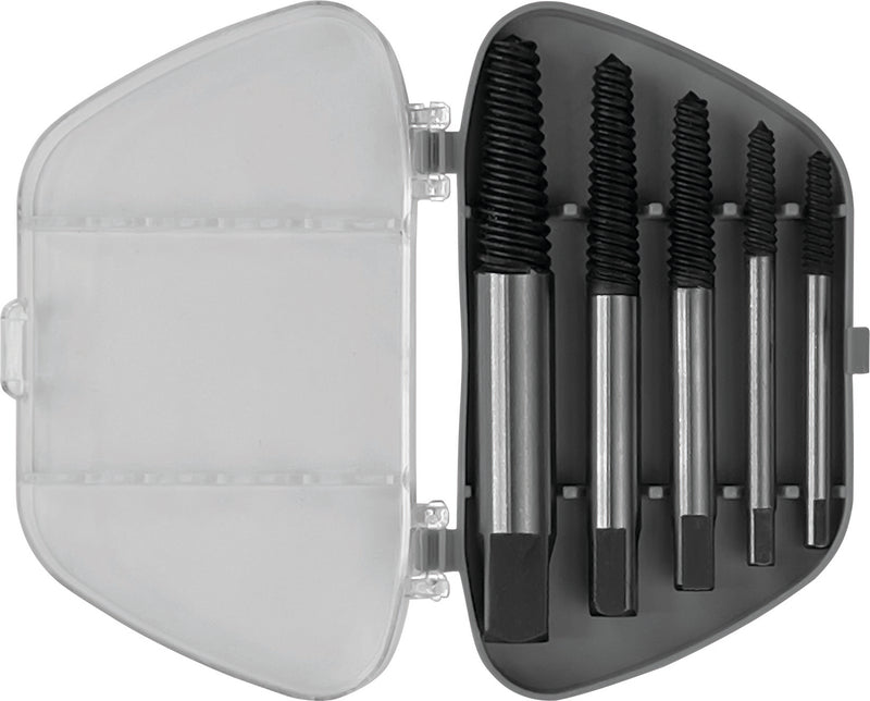 Schraubenausdreher Satz