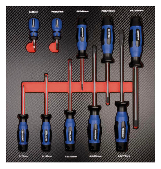 Schraubendreher Einlage